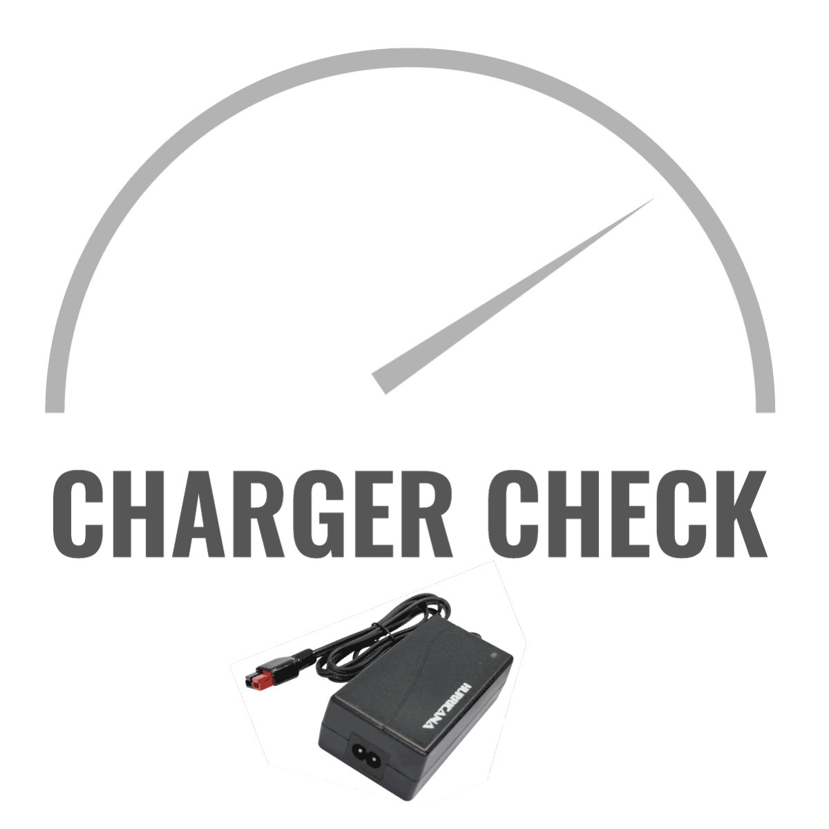Charger Check Service